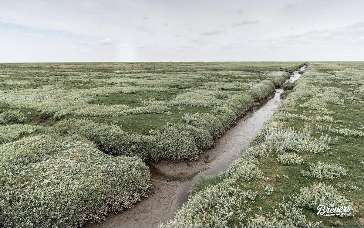 oekologische-nachhaltigkeit